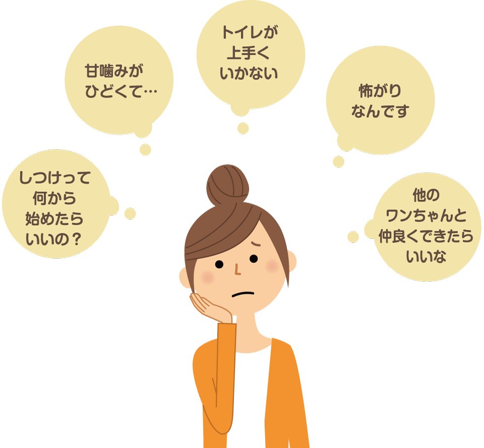 子犬のしつけに関する不安