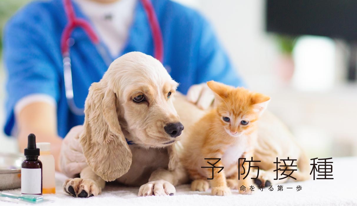 予防接種　命を守る第一歩